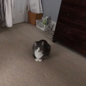 Meet your Posher, Cathy